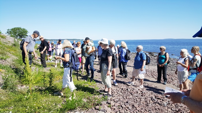 Villblomstenes dag 14. juni 2020